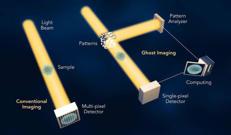 Ghostly X-ray images could provide key info for analyzing X-ray laser experiments