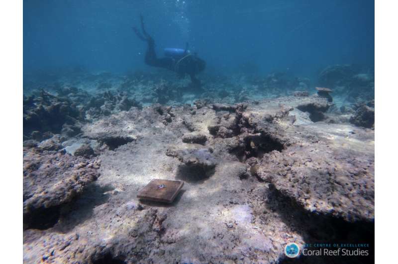 Global warming disrupts recovery of coral reefs
