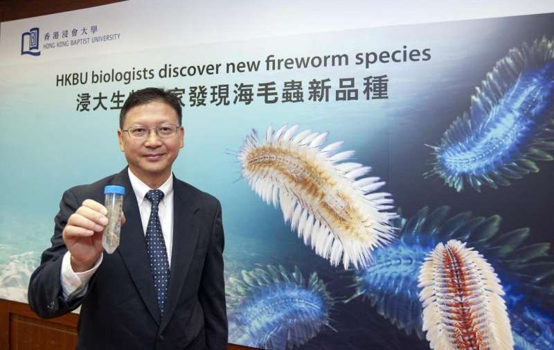 HKBU biologists discover and name new fireworm species in Hong Kong waters