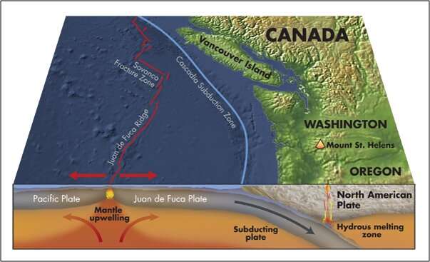 Hundreds of bubble streams link biology, seismology off Washington's coast