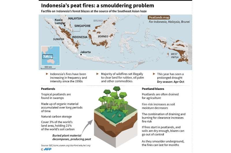 Indonesia's peat fires: a smouldering problem