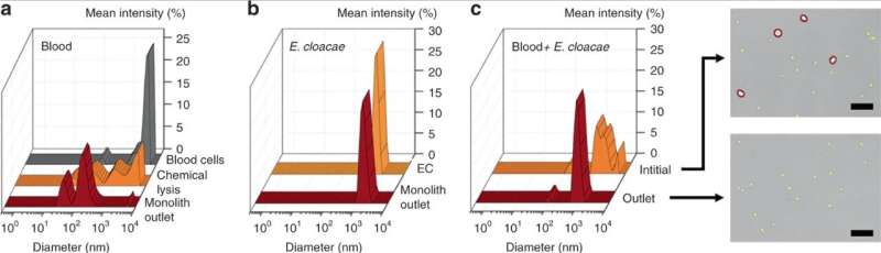 Isolating intact bacteria from blood using a microfluidic monolith device