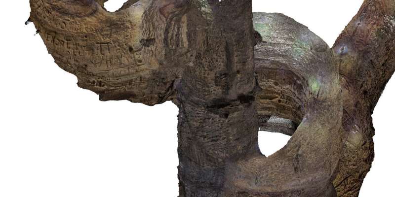 Laser scanning leads to 3-D rendering of robber’s cave