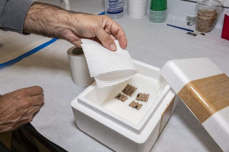 Live cargo: How scientists pack butterflies, frogs and sea turtles for safe travels