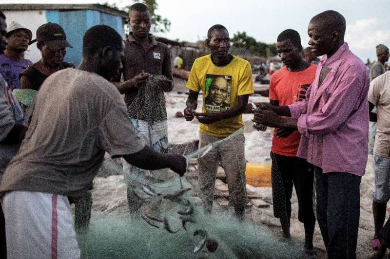 Malawian fishermen work through their catch on their return ashore on the banks of the Lake Malawi at  Senga Bay