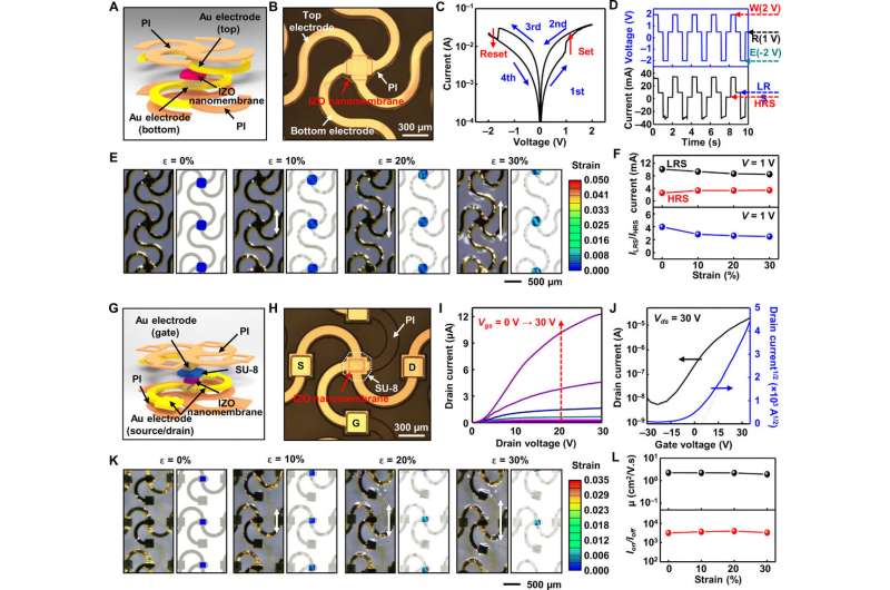 Metal-oxide semiconductor nanomembrane-based multifunctional electronics for wearable-human interfaces