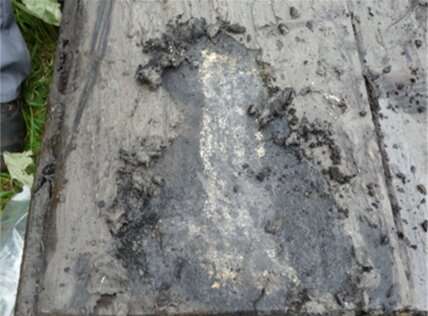 Microorganisms protect iron sheet piling against degradation