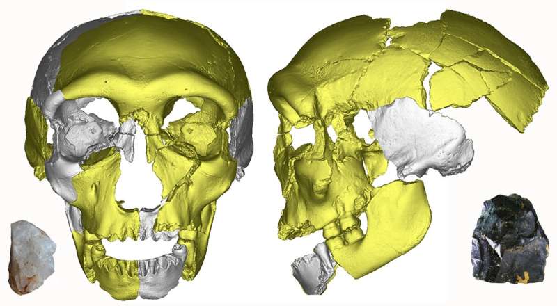 Middle Pleistocene human skull reveals variation and continuity in early Asian humans