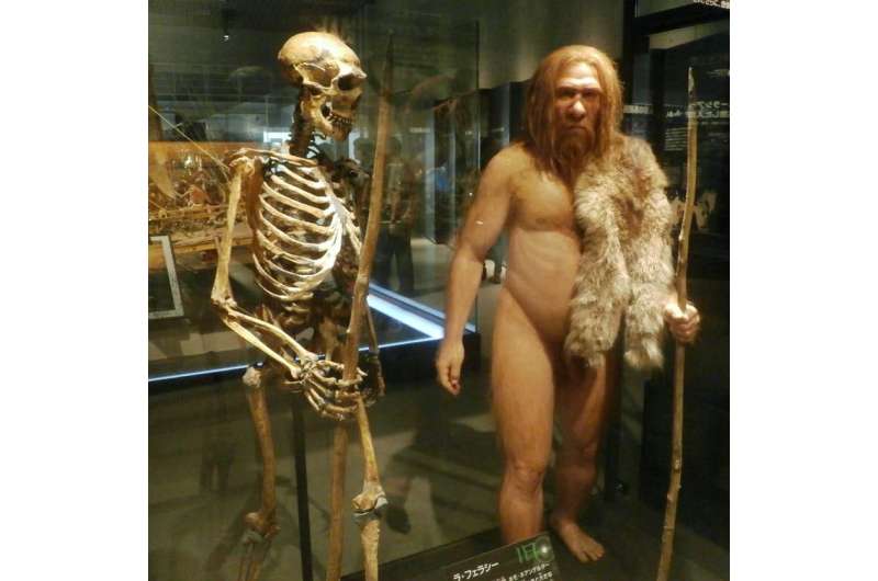 Neanderthals were sprinters rather than distance runners, study surprisingly suggests