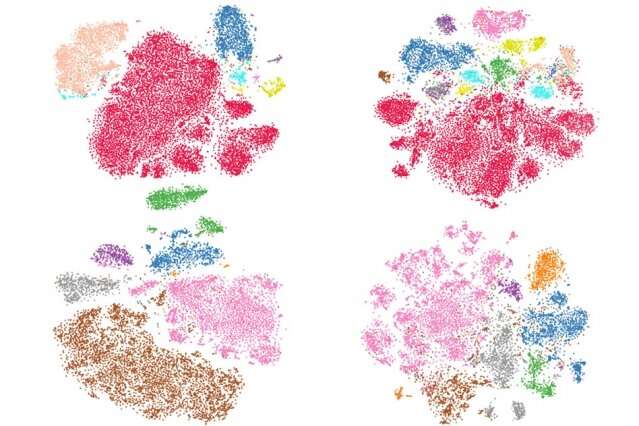 New approach could accelerate efforts to catalogue vast numbers of cells