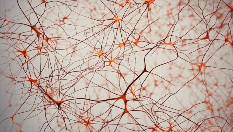 New autism research on single neurons suggests signaling problems in brain circuits
