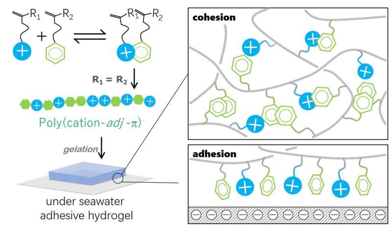 New bio-inspired hydrogels can act like superglue in highly ionic environments like seawater