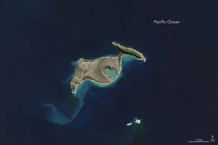 Newborn volcanic island in the Pacific has survived five years