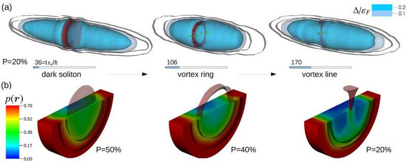 New simulation methods to visualise quantum effects in superfluid fermions