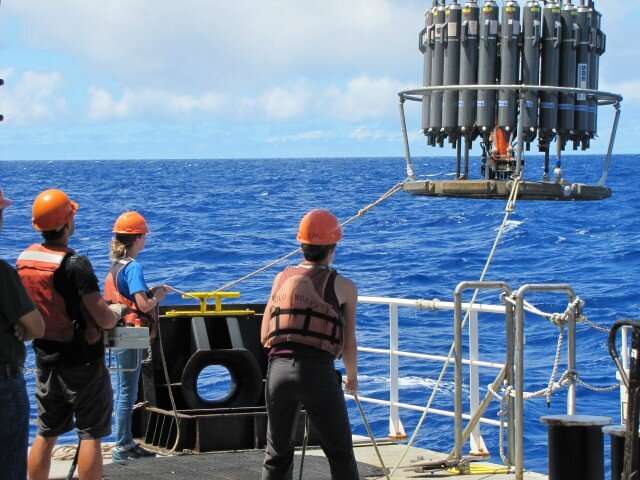 New study tracks sulfur-based metabolism in the open ocean