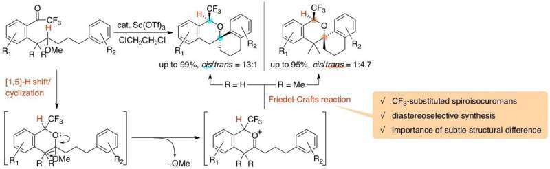 New synthesis of complex organic molecules revealed