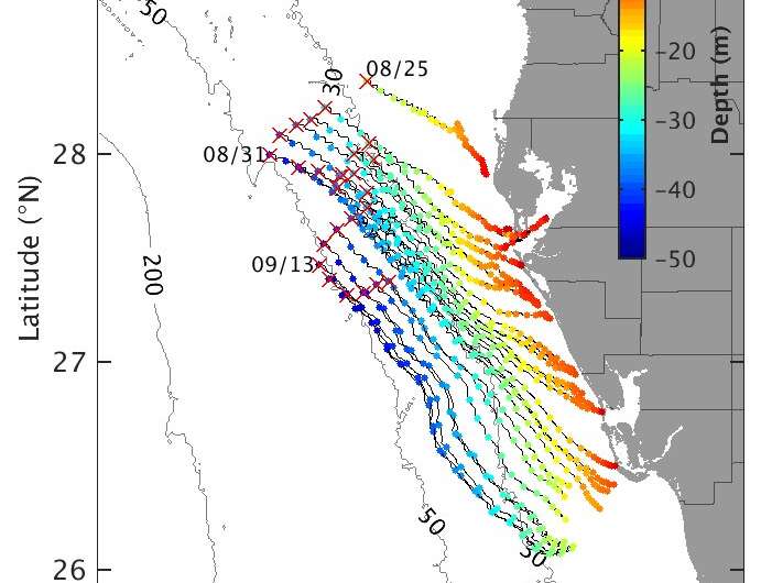 Ocean circulation likely to blame for severity of 2018 red tide