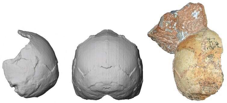 Oldest human skull outside Africa identified as 210,000 years old