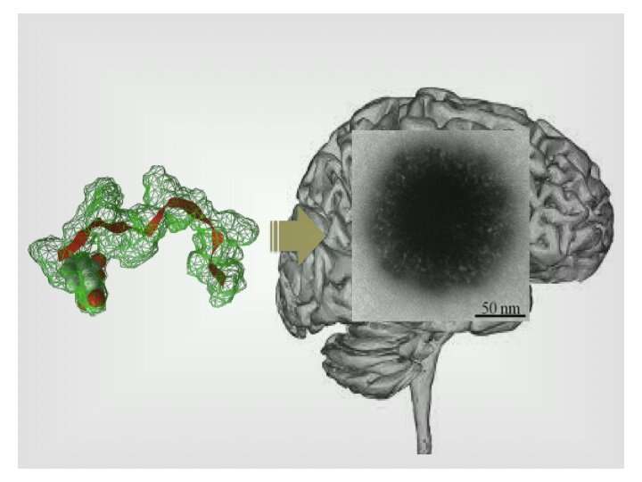 Overcoming the blood-brain-barrier: Delivering therapeutics to the brain