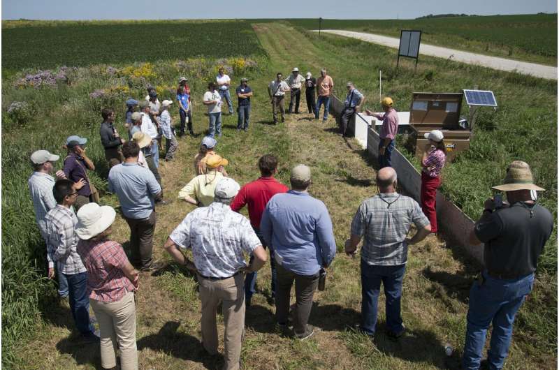 Prairie strips transform farmland conservation