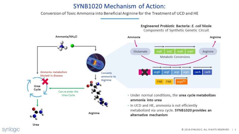 Publication of data for SYNB1020 a potential treatment for hyperammonemia