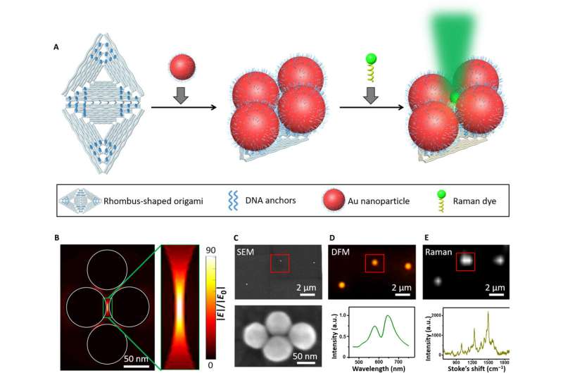 Quantizing single-molecule surface enhanced Raman Scattering with DNA origami metamolecules