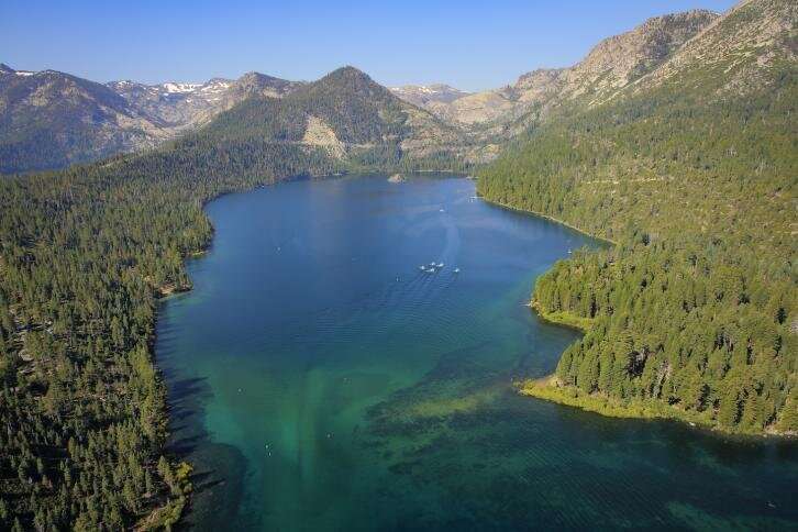 Removing tiny shrimp may help climate-proof Lake Tahoe's clarity