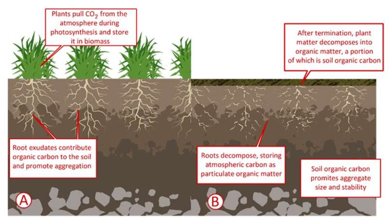 Restoring soil to address climate change