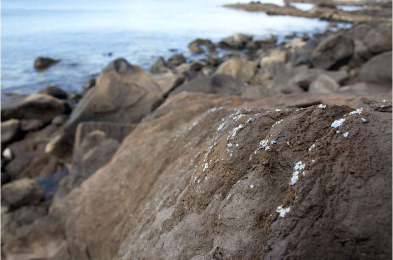 Scientists on Madeira see new 'plasticrust' sea pollution
