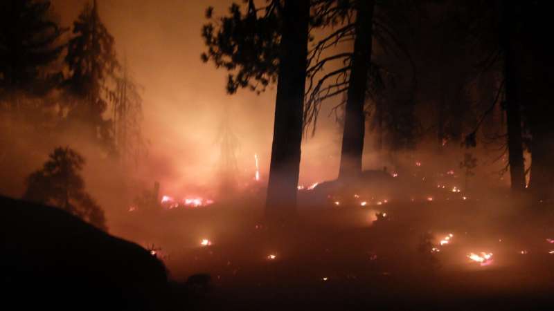 Scientists simulate forest and fire dynamics to understand area burn of future wildfires