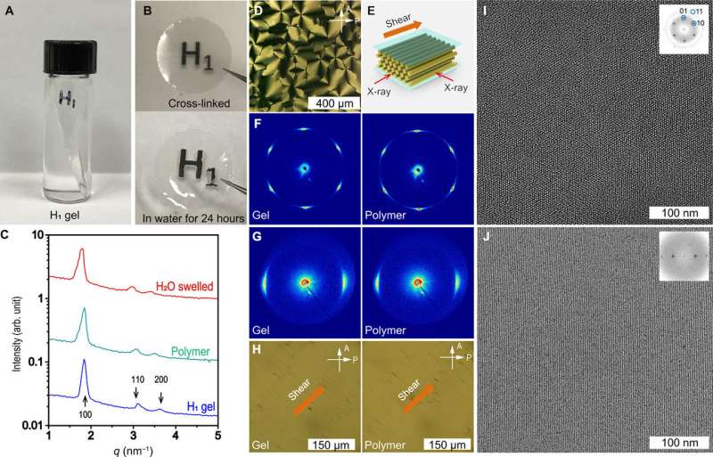 Self-assembled membrane with water-continuous transport pathways for precise nanofiltration