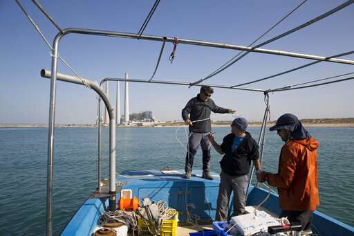 Sharks drawn to warm waters by Israeli coastal power plant