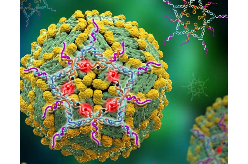 Structurally designed DNA star creates ultra-sensitive test for dengue virus