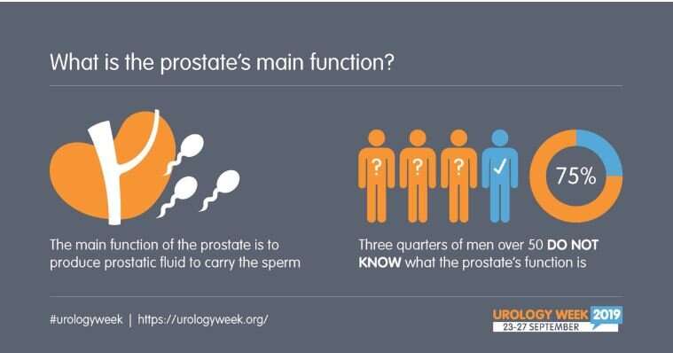 Survey reveals low levels of awareness in men about prostate health and function