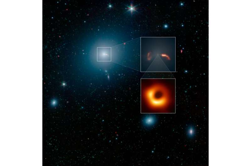 The giant galaxy around the giant black hole