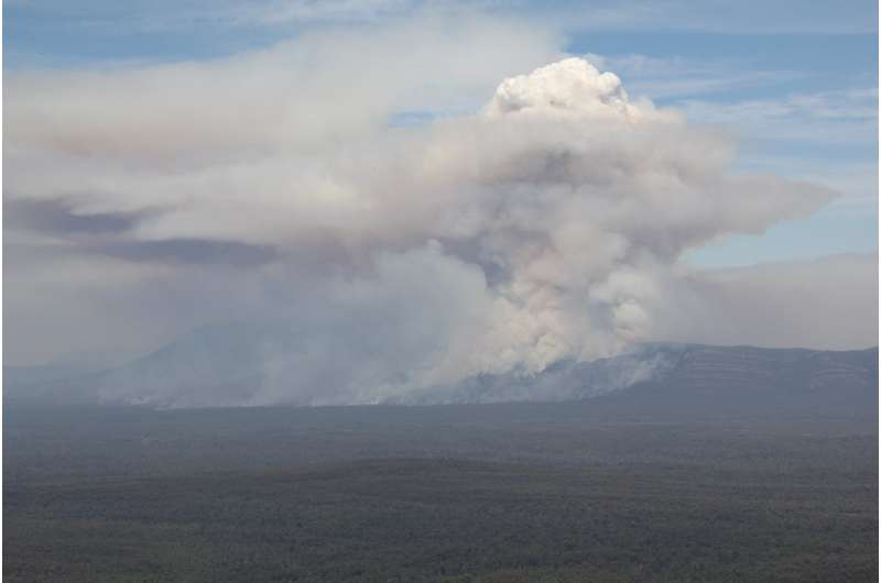 The shape of a perfect storm: saving lives by predicting firestorms