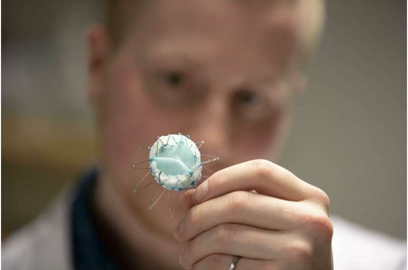 UBC researchers develop new heart valve aimed at high-risk patients