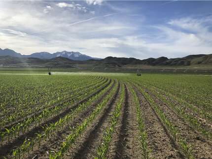 Water management grows farm profits