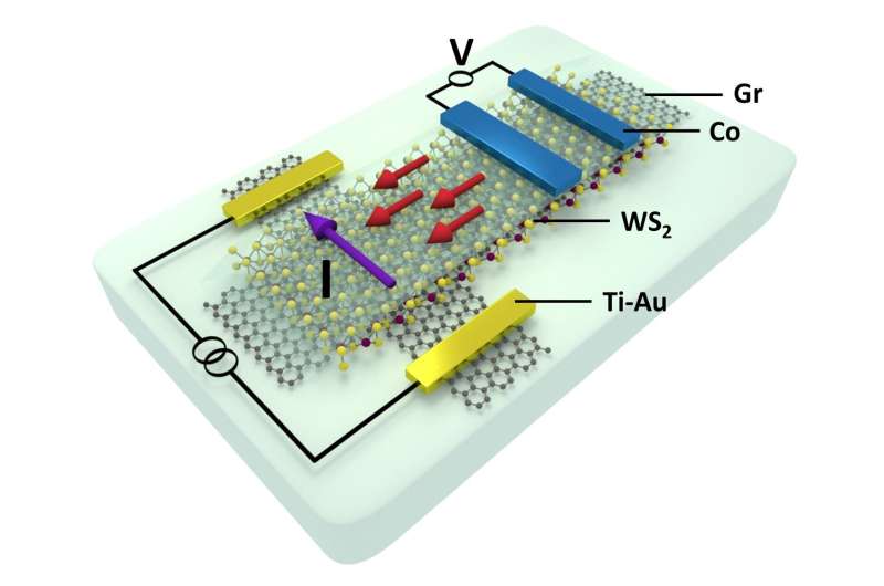 Scientists create fully electronic 2-dimensional spin transistors
