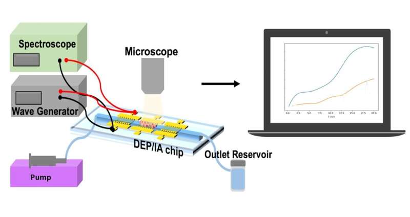 Researchers develop ‘lab on a chip’ for personalized drug efficacy monitoring