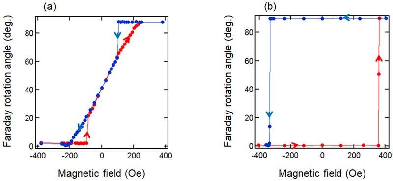 Development of magneto-optic effect measurement device using dual-comb spectroscopy