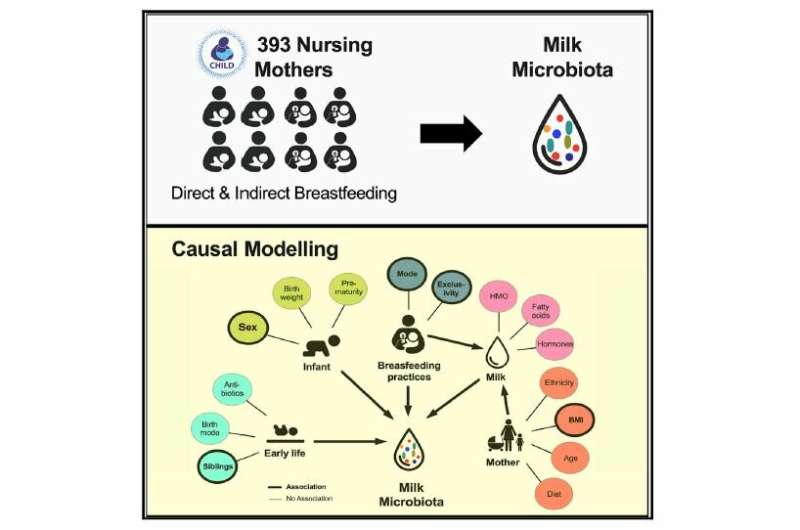 Researchers compare the effect of breastfeeding versus pumping on human milk microbiome