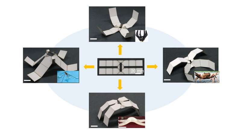 Researchers make robots from self-folding kirigami materials