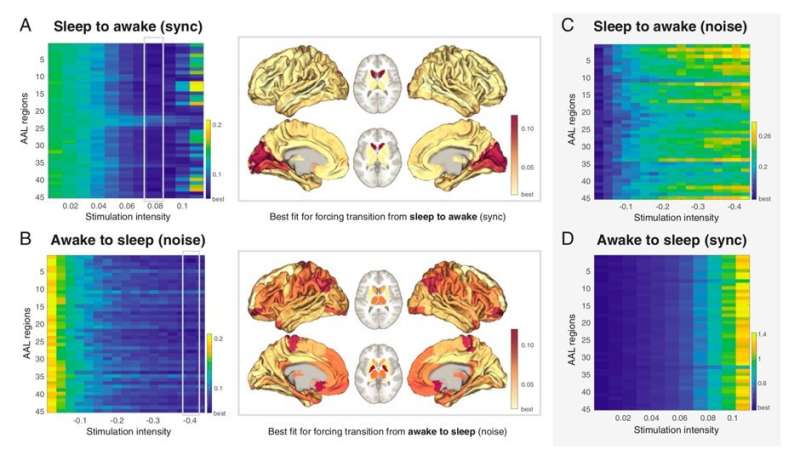 Scientists predict the areas of the brain to stimulate transitions between different brain states