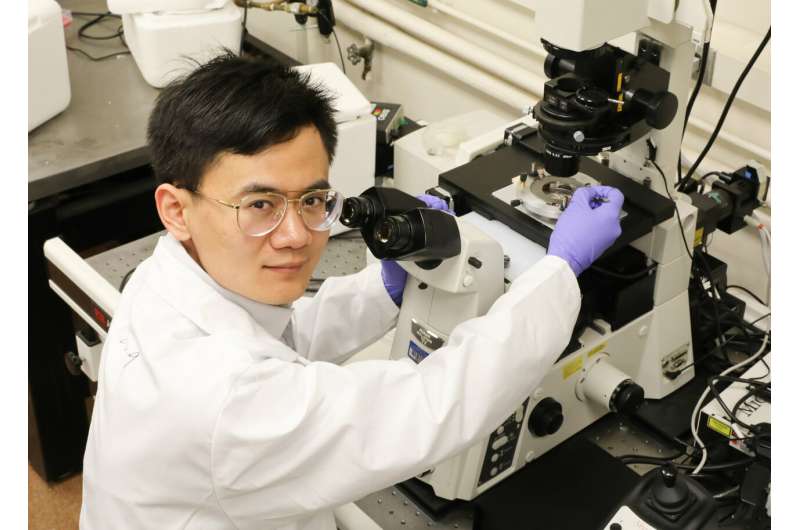Researchers create nano-bot to probe inside human cells