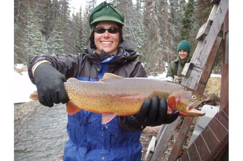 Researchers find broad impacts from lake trout invasion in Yellowstone