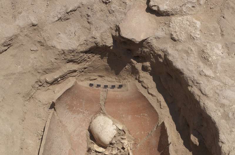 Ancient DNA sheds light on the origins of the Biblical Philistines