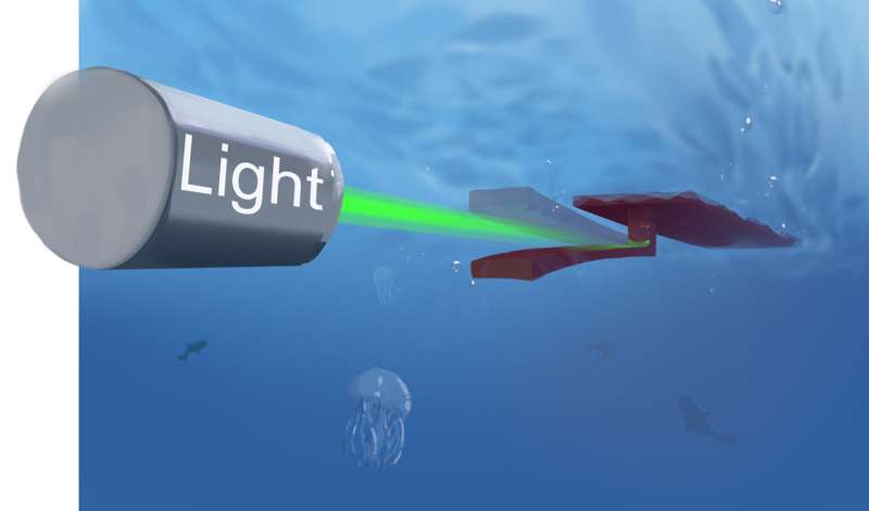A soft phototactic swimming robot built using a self-sustained hydrogel oscillator