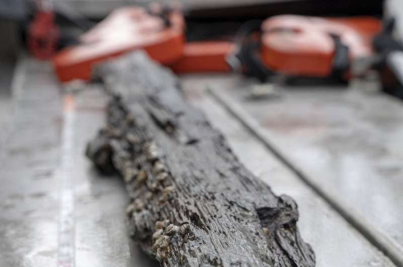 Clotilda: Last US slave ship discovered among gators, snakes