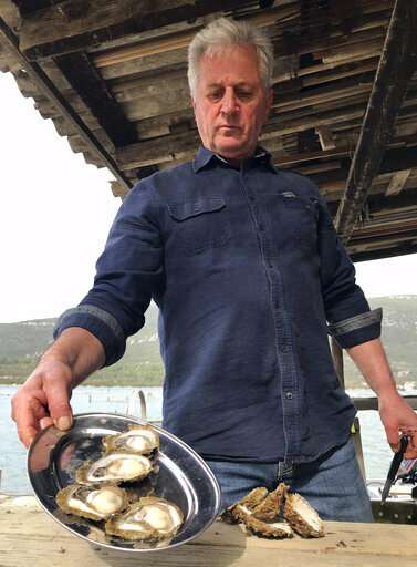 Croatia's top oyster farmers in alarm after norovirus found